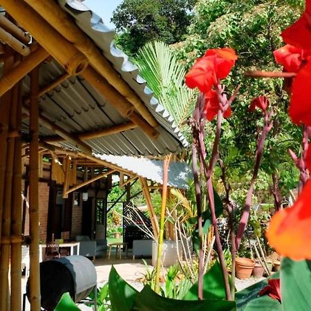 Bamboo Cottage Langkawi Pantai Cenang  Esterno foto